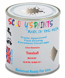 Paint Mixed Vauxhall Cabrio/Convertible Nougat 191/285V/G5N Basecoat Car Spray Paint