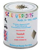 Paint Mixed Vauxhall Insignia Olive Tree 183X/30W/G6S Basecoat Car Spray Paint