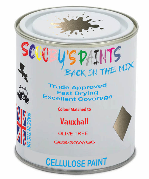Paint Mixed Vauxhall Zafira Olive Tree 183X/30W/G6S Cellulose Car Spray Paint