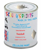 Paint Mixed Vauxhall Zafira Pannacotta 167/1Ru/Gbf Cellulose Car Spray Paint