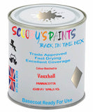 Paint Mixed Vauxhall Insignia Pannacotta 167/1Ru/Gbf Basecoat Car Spray Paint
