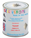 Paint Mixed Vauxhall Antara Pannacotta 167/1Ru/Gbf Basecoat Car Spray Paint