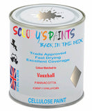 Paint Mixed Vauxhall Antara Pannacotta 167/1Ru/Gbf Cellulose Car Spray Paint