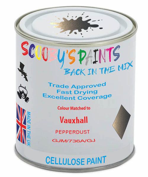 Paint Mixed Vauxhall Meriva Pepperdust 40W/736A/Gjm Cellulose Car Spray Paint