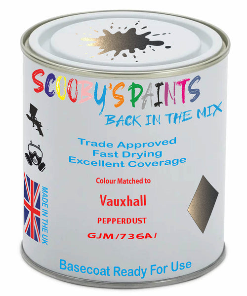 Paint Mixed Vauxhall Corsa Pepperdust 40W/736A/Gjm Basecoat Car Spray Paint