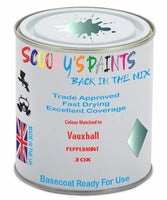 Paint Mixed Vauxhall Adam Peppermint  Basecoat Car Spray Paint