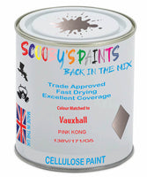 Paint Mixed Vauxhall Adam Pink Kong 138V/171/G5H Cellulose Car Spray Paint