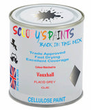 Paint Mixed Vauxhall Antara Placid Grey Gje Cellulose Car Spray Paint