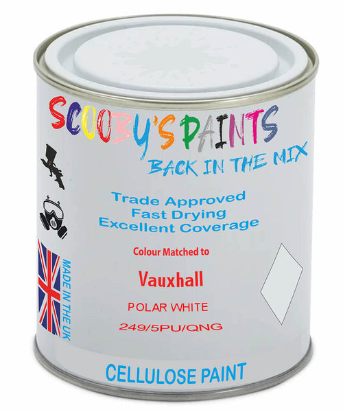 Paint Mixed Vauxhall Combo Polar White 249/5Pu/Qng Cellulose Car Spray Paint