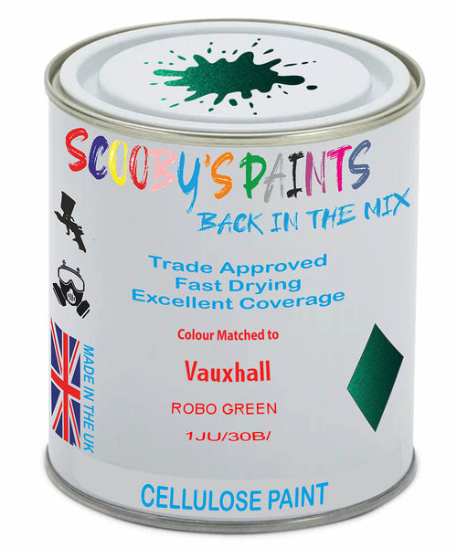 Paint Mixed Vauxhall Tigra Twin Top Robo Green 1Ju/30B Cellulose Car Spray Paint