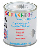 Paint Mixed Vauxhall Astra Cabrio Seashell 187/G3Z/Gwa Basecoat Car Spray Paint