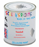 Paint Mixed Vauxhall Astra Seashell 187/G3Z/Gwa Cellulose Car Spray Paint