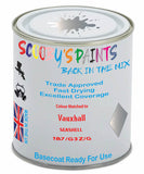 Paint Mixed Vauxhall Adam Seashell 187/G3Z/Gwa Basecoat Car Spray Paint