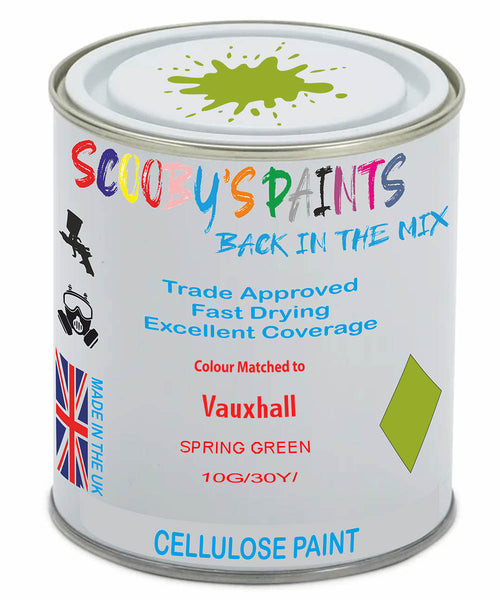 Paint Mixed Vauxhall Vivaro Spring Green 10G/30Y Cellulose Car Spray Paint