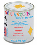 Paint Mixed Vauxhall Astra Sunny Melon 40Q/Aju/Apu Cellulose Car Spray Paint