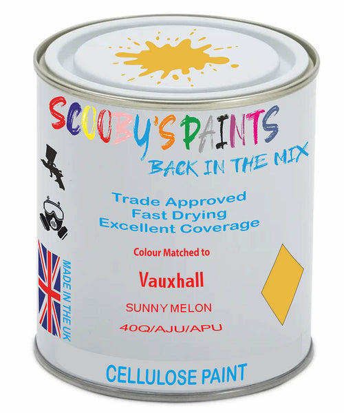Paint Mixed Vauxhall Corsa Sunny Melon 40Q/Aju/Apu Cellulose Car Spray Paint