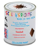 Paint Mixed Vauxhall Insignia Trebbiano Brown 288V/41N/G6Q Cellulose Car Spray Paint
