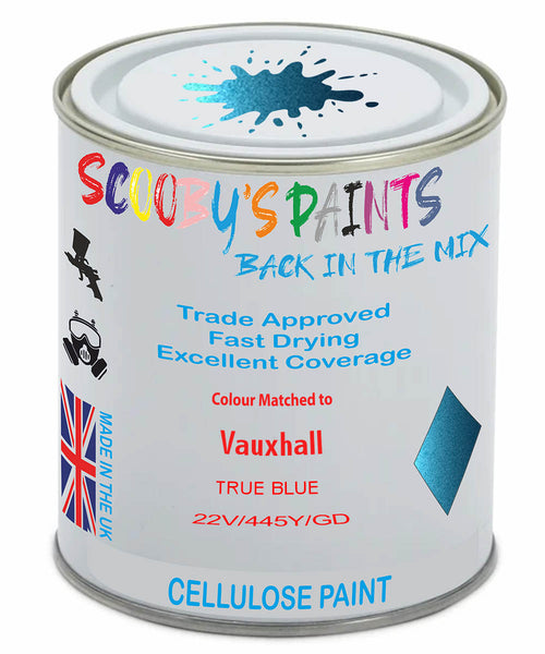 Paint Mixed Vauxhall Mokka X True Blue 22V/445Y/Gds Cellulose Car Spray Paint