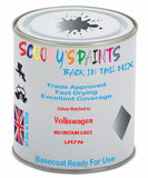 Paint Mixed Volkswagen Touareg Mountain Grey Lr7N Basecoat Car Spray Paint