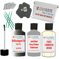 Volkswagen Pepper Grey Car Detailing Paint and polish finishing kit