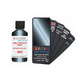 FORD 36C METROPOLITAN GREY — 30Ml Touch Up