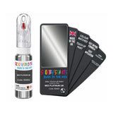FORD 6546G MED PLATINUM UM — 20Ml Touch Up