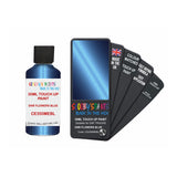 DAF TRUCKS CE350MEBL DNR FLOWERS BLUE — 30Ml Touch Up
