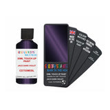 DAF TRUCKS CD705MEBL JACO DARK VIOLET — 30Ml Touch Up