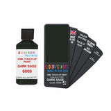 FORD 6009 DARK SAGE — 30Ml Touch Up