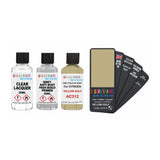 CITROEN AC312 YELLOW GOLF — 30Ml Touch Up Primer Lacquer