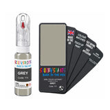 DACIA 111 GREY — 20Ml Touch Up