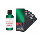 FORD 2GQEXWA GRABBER GREEN — 30Ml Touch Up