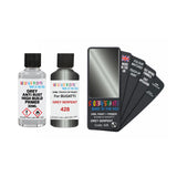 BUGATTI 428 GREY SERPENT — 30Ml Touch Up Primer