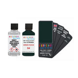 CITROEN S4 GREEN YUCCA — 30Ml Touch Up Primer