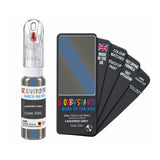 CITROEN ESC LAQUERED GREY — 20Ml Touch Up