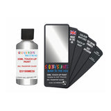 DAF TRUCKS E0198MESI BOL TRANSPORT ZILVER — 30Ml Touch Up
