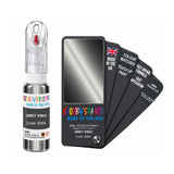 FIAT LANCIA 606A GREY VINCI — 20Ml Touch Up