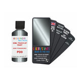 DODGE PD9 DARK TITANIUM GREY — 30Ml Touch Up