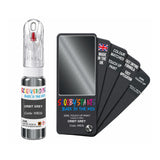 BMW WB35 ORBIT GREY — 20Ml Touch Up