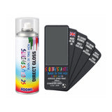 FORD JMW CONQUER GREY — Direct Gloss Aerosol