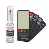 CITROEN AC134 CHAMPAGNE — 20Ml Touch Up