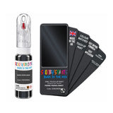 DAF TRUCKS E0602MEBA PIERRE FRERES ZWART — 20Ml Touch Up