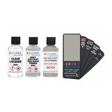 CITROEN AC121 GREY CLAIR CLARO — 30Ml Touch Up Primer Lacquer