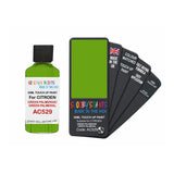 CITROEN AC529 GREEN PALMERAIE GREEN PALMERAL — 30Ml Touch Up