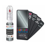 CHRYSLER AC10852 CHARCOAL GRAY — 20Ml Touch Up