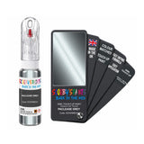 DAF TRUCKS E0330MEGY PACLEASE GREY — 20Ml Touch Up