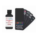 FORD 6744 MEDIUM GRAPHITE — 30Ml Touch Up