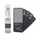 DODGE PAB ASCOT GRAY — 20Ml Touch Up