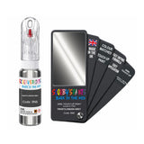 FORD 9N8 TRIVET LONDON GREY — 20Ml Touch Up