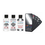 DACIA BU0335 GREY METAL FROID — 30Ml Touch Up Primer Lacquer